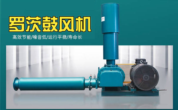 罗茨鼓香蕉视频一级片大全