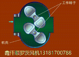 罗茨香蕉视频一级片大全的工作特点三叶罗茨鼓香蕉视频一级片大全的工作原理