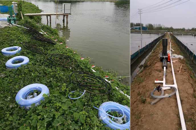 水产养殖罗茨鼓香蕉视频一级片大全