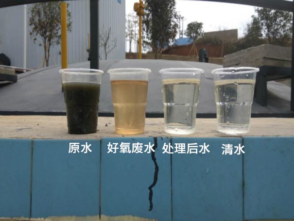 污水曝气罗茨鼓香蕉视频一级片大全应用案例