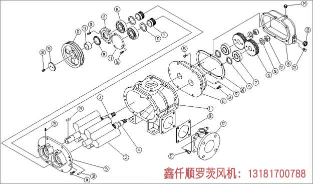 罗茨香蕉视频一级片大全工作组成部件